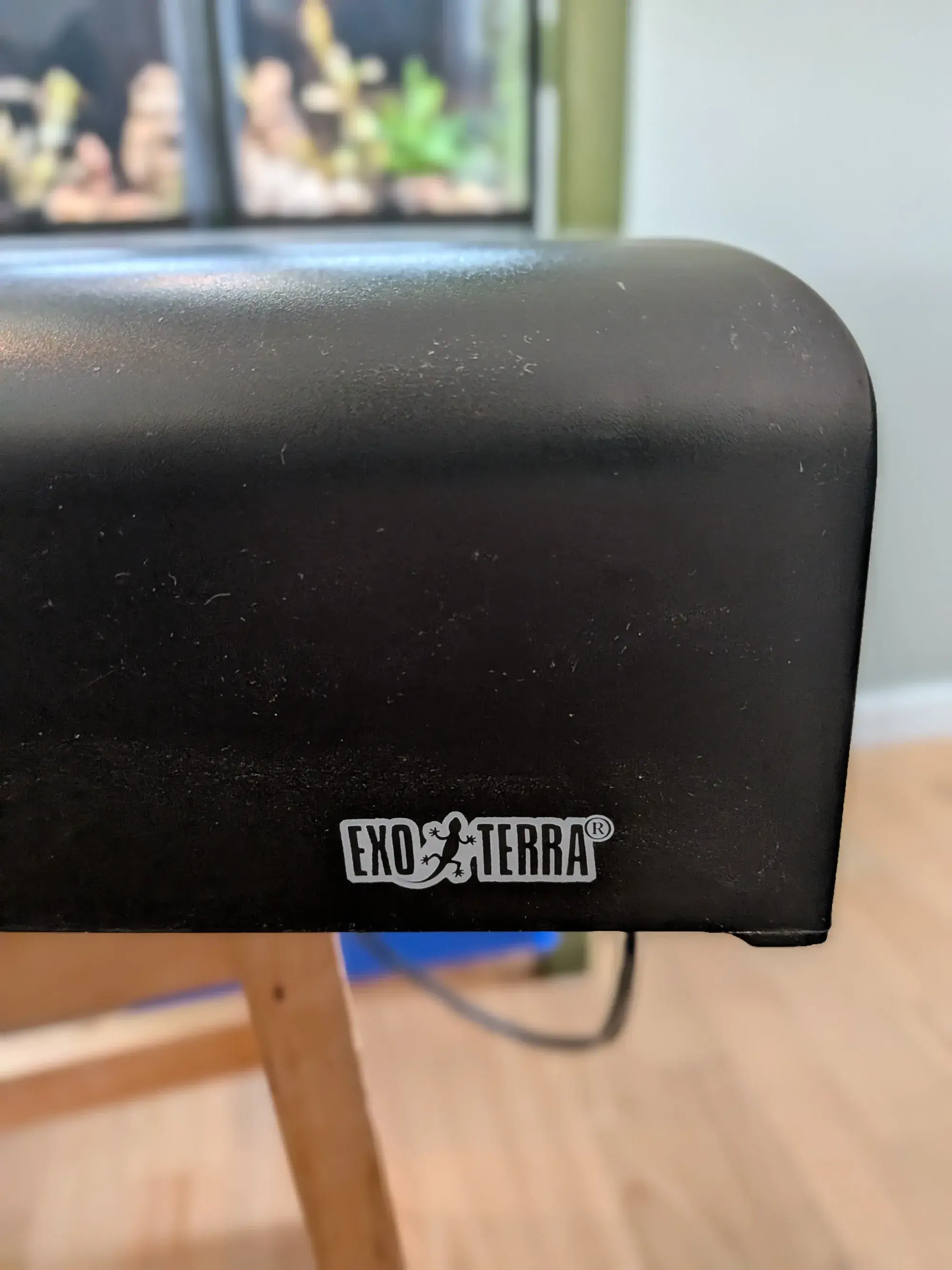 Exo Terra compact top medium